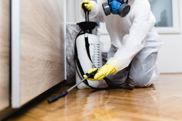 Reliable Hebron, IL Pest Control Solutions