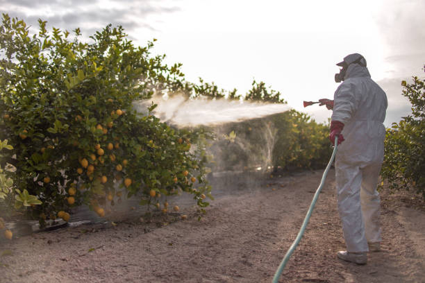 Best Pest Control Near Me  in Hebron, IL