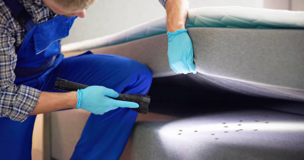 Best Best Pest Control Companies  in Hebron, IL