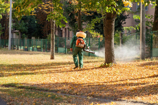 Best Best Pest Control Companies  in Hebron, IL