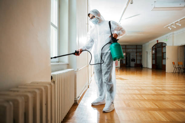 Best Flea Control Services  in Hebron, IL