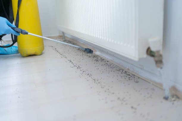 Best Pest Control for Homes  in Hebron, IL