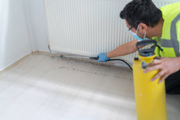 Best Affordable Pest Control Services  in Hebron, IL