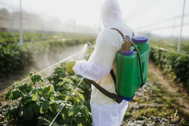 Best Pest Control Near Me  in Hebron, IL
